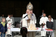 IMG_20200611_092651 IMG_20200611_092651