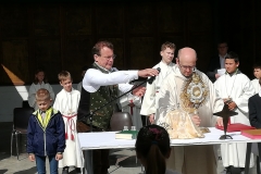 IMG_20200611_092737 IMG_20200611_092737