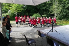 IMG_20200611_093056 IMG_20200611_093056